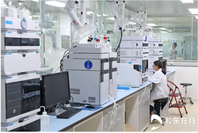 生物質(zhì)成型燃料的銷售前景與市場(chǎng)策略